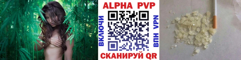 Где купить наркоту Лермонтов Галлюциногенные грибы  Мефедрон  Cocaine  ГАШ  Конопля 