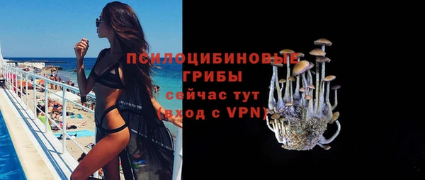 дмт Алзамай