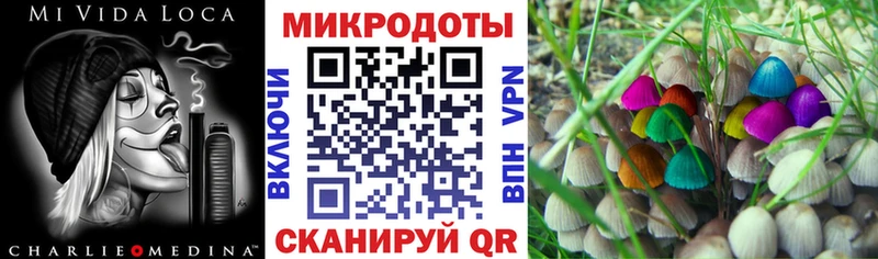 Галлюциногенные грибы MAGIC MUSHROOMS  Лермонтов 