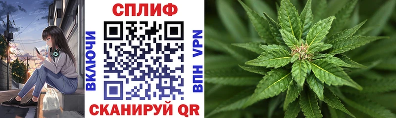 Канабис гибрид Лермонтов